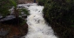 Fazenda 75 Alqueires – Sentido Cachoeira dos Couros – Alto Paraíso – Chapada dos Veadeiros