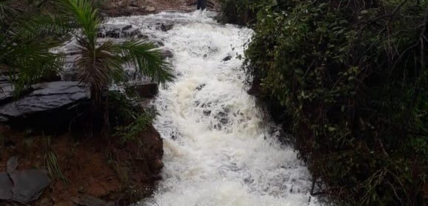 Fazenda 75 Alqueires – Sentido Cachoeira dos Couros – Alto Paraíso – Chapada dos Veadeiros
