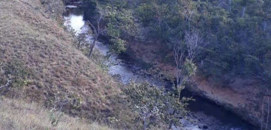 Fazenda 75 Alqueires – Sentido Cachoeira dos Couros – Alto Paraíso – Chapada dos Veadeiros