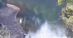 Fazenda 75 Alqueires – Sentido Cachoeira dos Couros – Alto Paraíso – Chapada dos Veadeiros