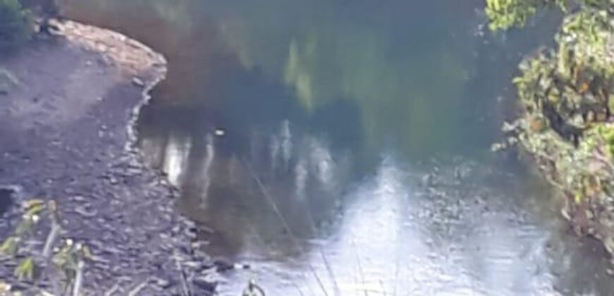 Fazenda 75 Alqueires – Sentido Cachoeira dos Couros – Alto Paraíso – Chapada dos Veadeiros