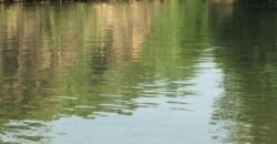 Fazenda 75 Alqueires – Sentido Cachoeira dos Couros – Alto Paraíso – Chapada dos Veadeiros