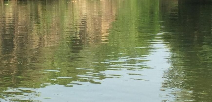 Fazenda 75 Alqueires – Sentido Cachoeira dos Couros – Alto Paraíso – Chapada dos Veadeiros