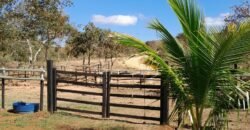 Fazenda 75 Alqueires – Sentido Cachoeira dos Couros – Alto Paraíso – Chapada dos Veadeiros
