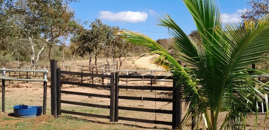 Fazenda 75 Alqueires – Sentido Cachoeira dos Couros – Alto Paraíso – Chapada dos Veadeiros