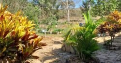 Fazenda 75 Alqueires – Sentido Cachoeira dos Couros – Alto Paraíso – Chapada dos Veadeiros