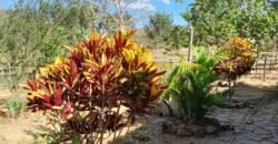 Fazenda 75 Alqueires – Sentido Cachoeira dos Couros – Alto Paraíso – Chapada dos Veadeiros