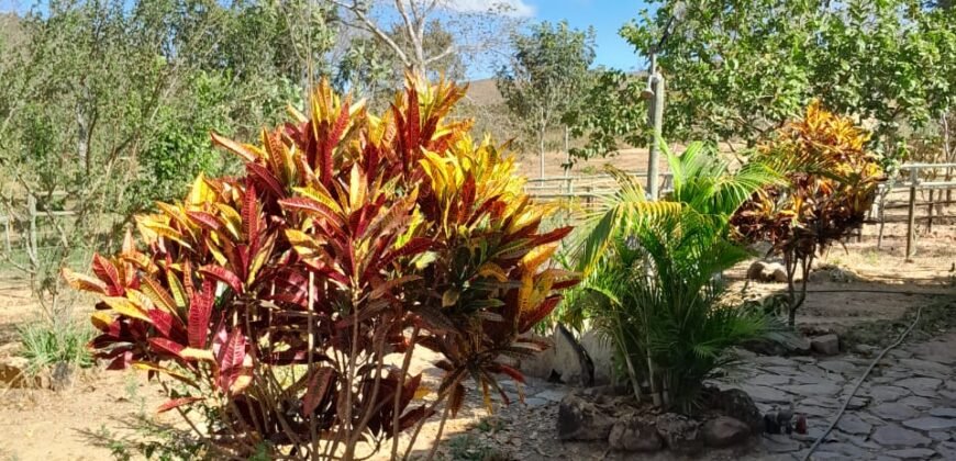Fazenda 75 Alqueires – Sentido Cachoeira dos Couros – Alto Paraíso – Chapada dos Veadeiros
