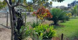 Fazenda 75 Alqueires – Sentido Cachoeira dos Couros – Alto Paraíso – Chapada dos Veadeiros