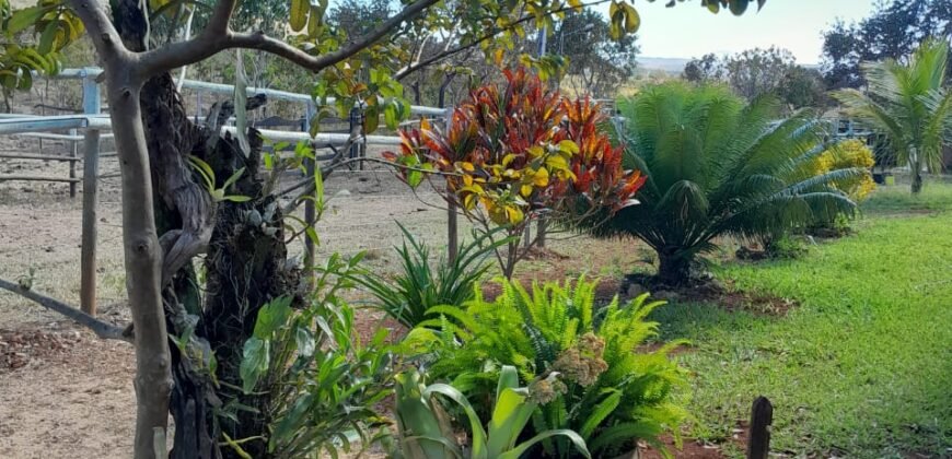 Fazenda 75 Alqueires – Sentido Cachoeira dos Couros – Alto Paraíso – Chapada dos Veadeiros