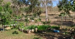 Fazenda 75 Alqueires – Sentido Cachoeira dos Couros – Alto Paraíso – Chapada dos Veadeiros