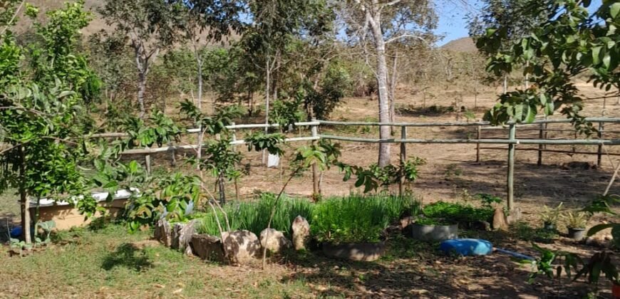 Fazenda 75 Alqueires – Sentido Cachoeira dos Couros – Alto Paraíso – Chapada dos Veadeiros