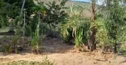 Fazenda 75 Alqueires – Sentido Cachoeira dos Couros – Alto Paraíso – Chapada dos Veadeiros