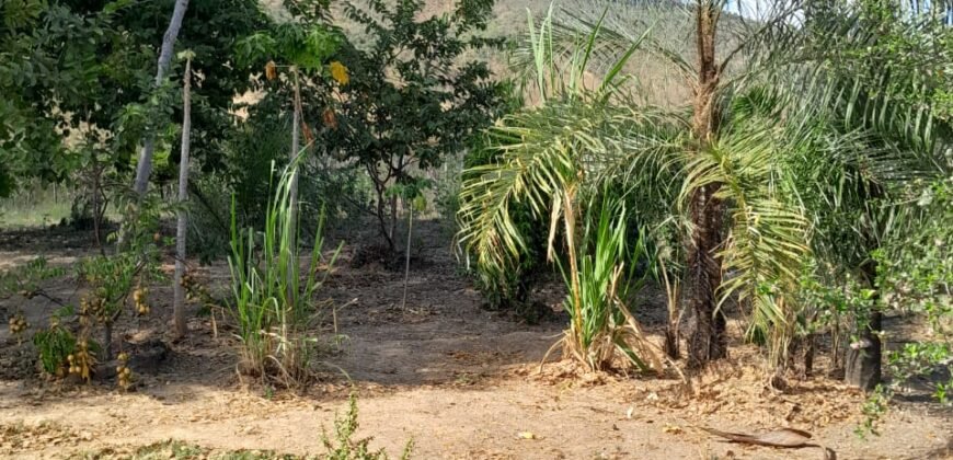 Fazenda 75 Alqueires – Sentido Cachoeira dos Couros – Alto Paraíso – Chapada dos Veadeiros