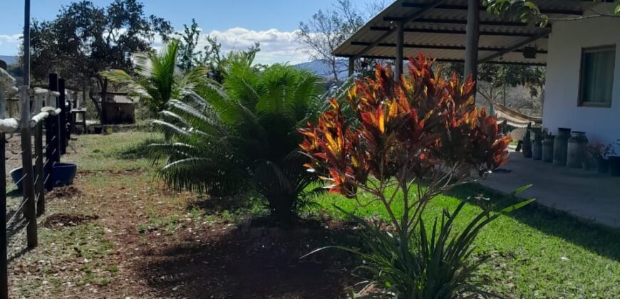 Fazenda 75 Alqueires – Sentido Cachoeira dos Couros – Alto Paraíso – Chapada dos Veadeiros