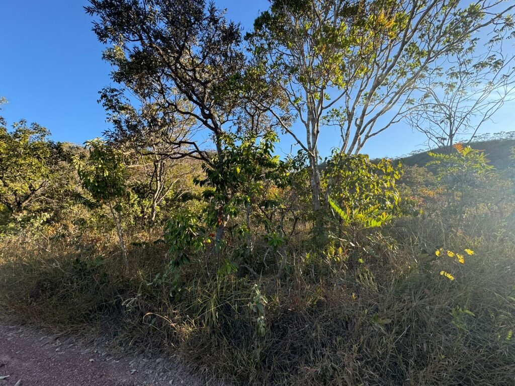 Chácara 4 ha – Riacho – 23 km de Alto Paraíso – Chapada dos Veadeiros