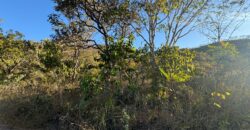 Chácara 4 ha – Riacho – 23 km de Alto Paraíso – Chapada dos Veadeiros