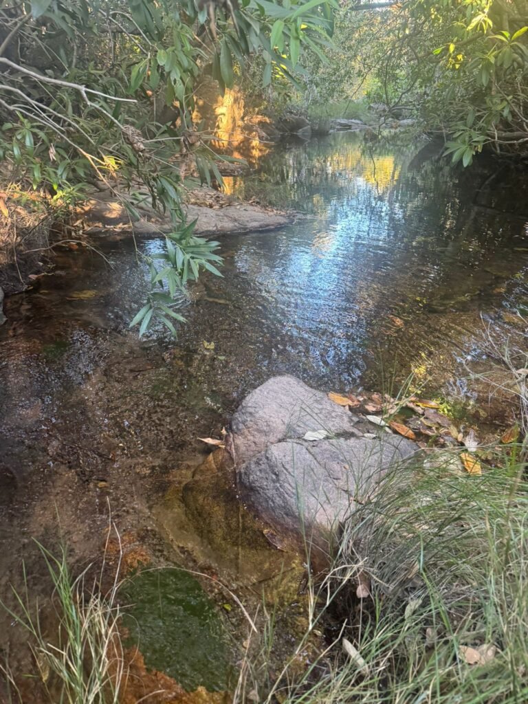 Chácara 4 ha – Riacho – 23 km de Alto Paraíso – Chapada dos Veadeiros