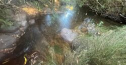 Chácara 4 ha – Riacho – 23 km de Alto Paraíso – Chapada dos Veadeiros