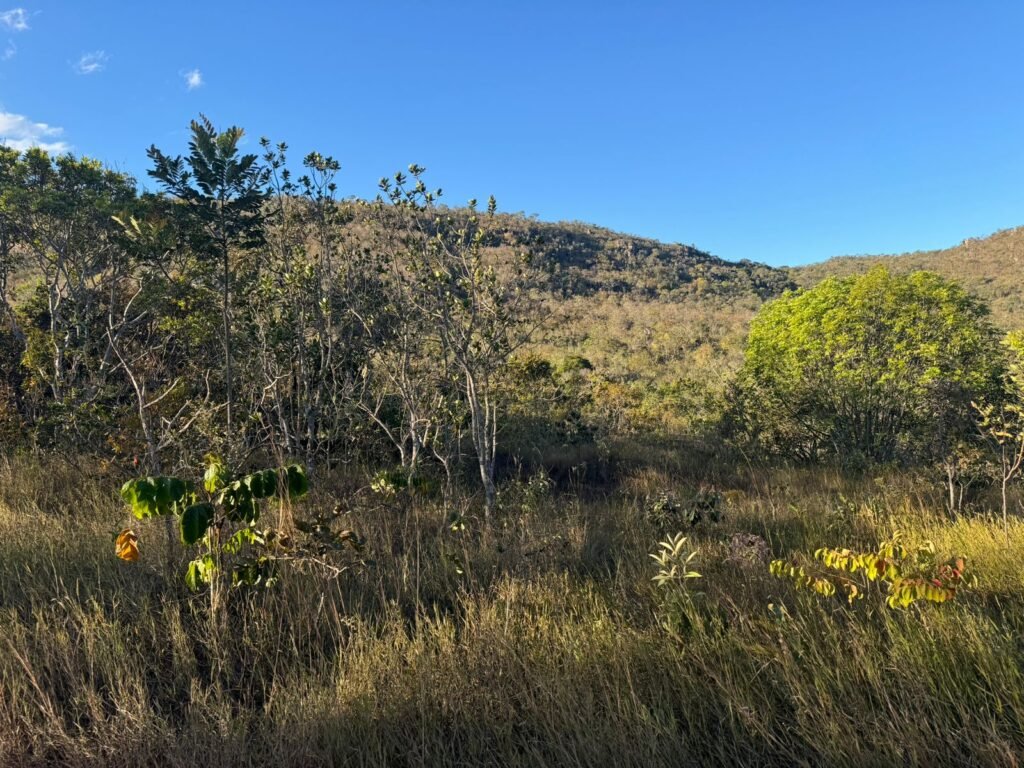 Chácara 4 ha – Riacho – 23 km de Alto Paraíso – Chapada dos Veadeiros