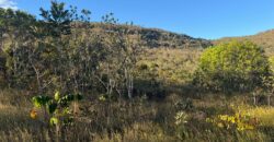 Chácara 4 ha – Riacho – 23 km de Alto Paraíso – Chapada dos Veadeiros