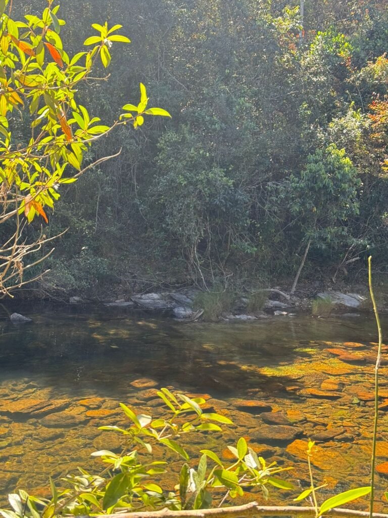 Chácara 4ha – Rio dos Couros – Alto Paraíso e Goiás