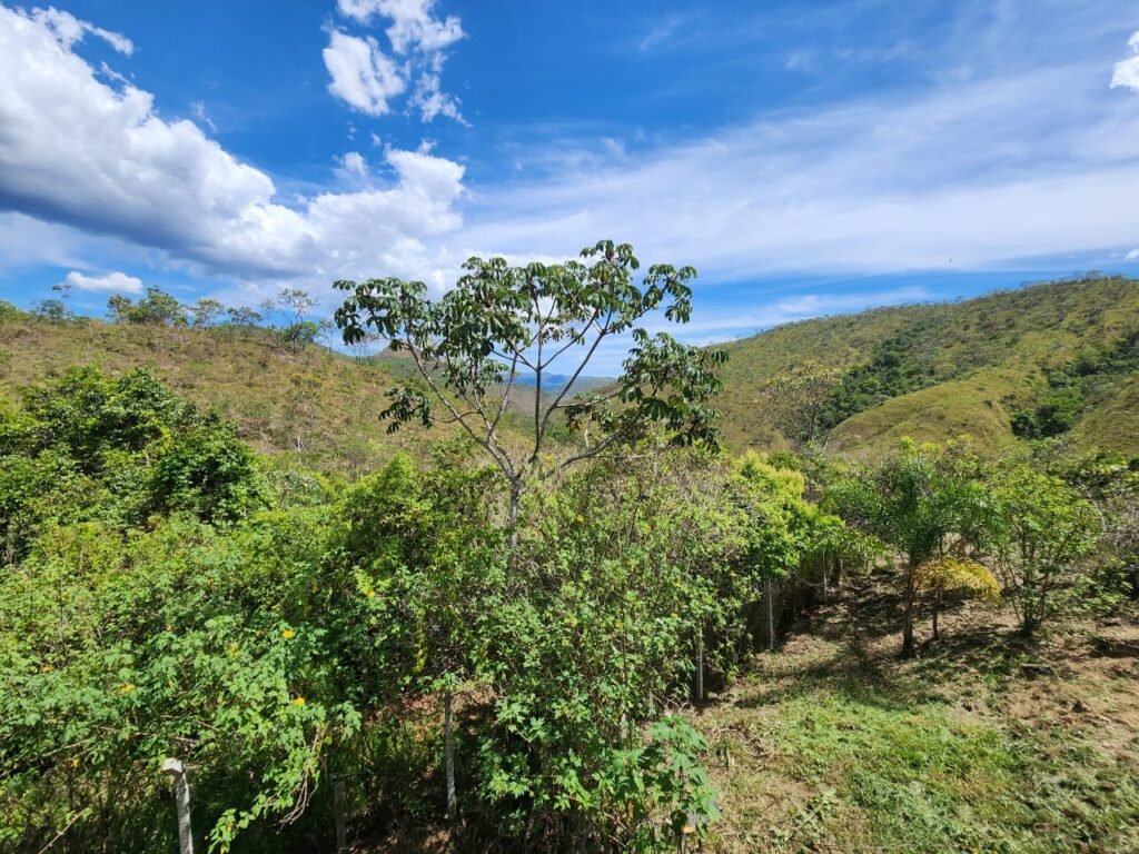 Propriedade 42.000 m2 – Casa – Cachoeira – Vista –  1 km do centro – Alto Paraíso de Goiás