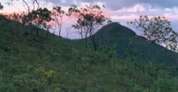 Propriedade 42.000 m2 – Casa – Cachoeira – Vista –  1 km do centro – Alto Paraíso de Goiás