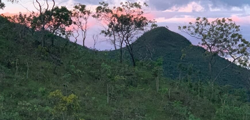 Propriedade 42.000 m2 – Casa – Cachoeira – Vista –  1 km do centro – Alto Paraíso de Goiás