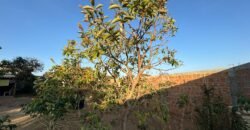 Casa 2 Quartos sendo 1 Suíte – Eldorado – Alto Paraíso de Goiás Casa 2 Quartos sendo 1 Suíte – Eldorado – Alto Paraíso de Goiás