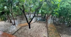 Casa de Tijolinho Ecológico á Venda – Monte Sinai – Alto Paraíso de Goiás Casa de Tijolinho Ecológico á Venda – Monte Sinai – Alto Paraíso de Goiás