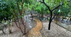 Casa de Tijolinho Ecológico á Venda – Monte Sinai – Alto Paraíso de Goiás Casa de Tijolinho Ecológico á Venda – Monte Sinai – Alto Paraíso de Goiás