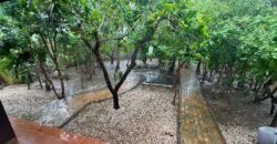 Casa de Tijolinho Ecológico á Venda – Monte Sinai – Alto Paraíso de Goiás Casa de Tijolinho Ecológico á Venda – Monte Sinai – Alto Paraíso de Goiás