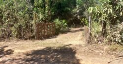 Vende-se Casa no Moinho – 1.300m2 – 12km de Alto Paraíso de Goiás Vende-se Casa no Moinho – 1.300m2 – 12km de Alto Paraíso de Goiás