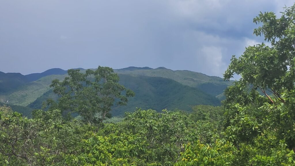 Chácaras a Venda – 37km de Alto Paraíso sentido Sertão – Chapada dos Veadeiros