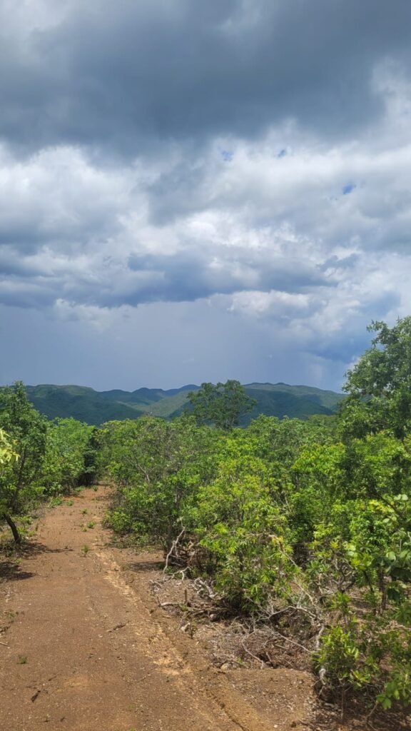 Chácaras a Venda – 37km de Alto Paraíso sentido Sertão – Chapada dos Veadeiros
