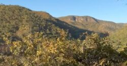 Chácara 4ha – Rio Segredo – Alto Paraíso sentido São Jorge