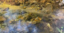 Chácara 4ha – Rio Segredo – Alto Paraíso sentido São Jorge