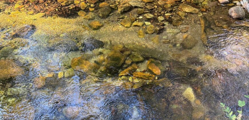 Chácara 4ha – Rio Segredo – Alto Paraíso sentido São Jorge