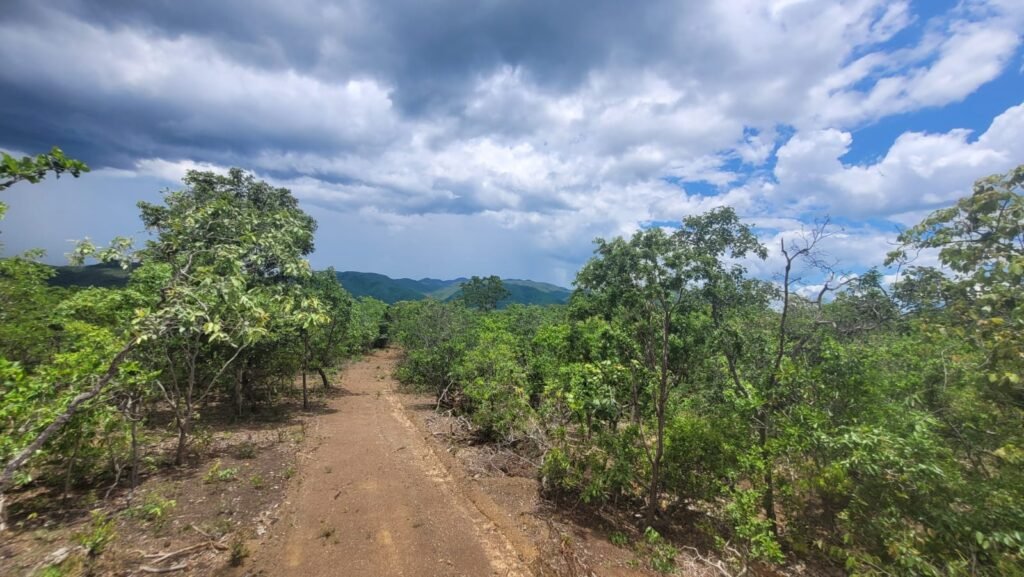 Chácaras a Venda – 37km de Alto Paraíso sentido Sertão – Chapada dos Veadeiros