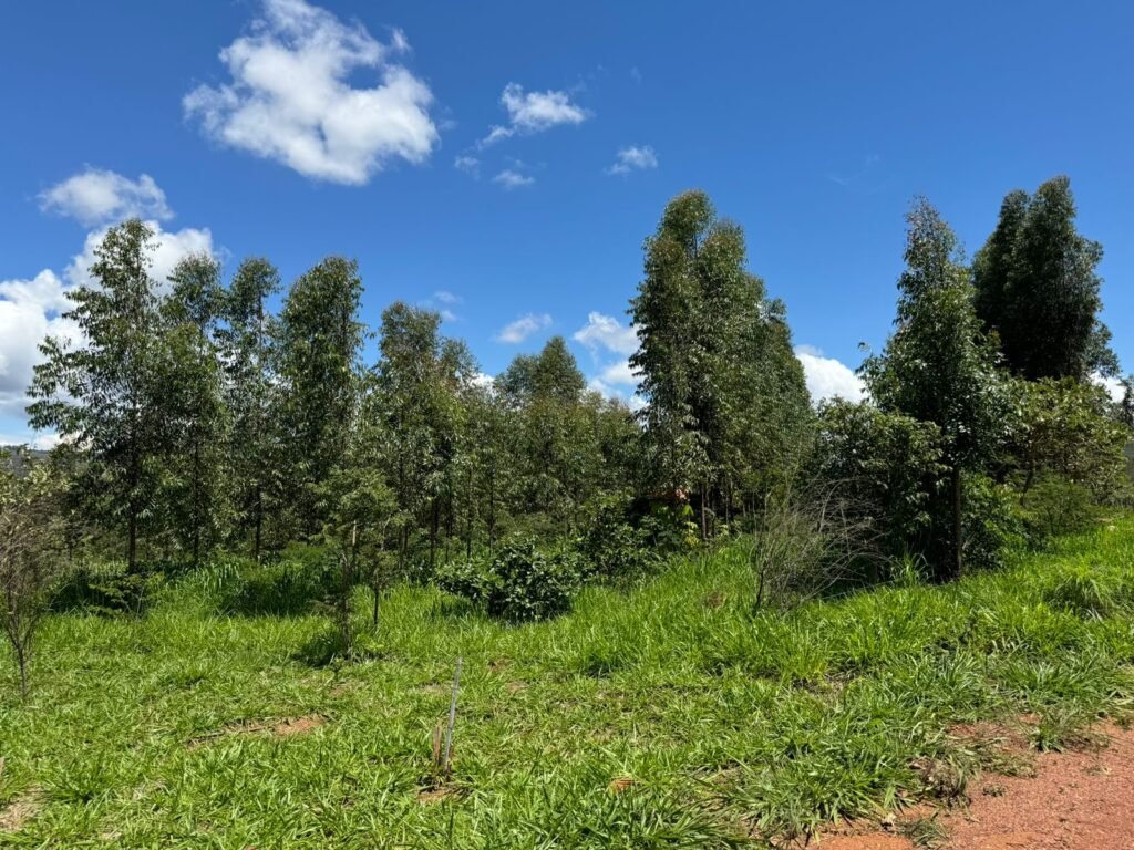 Lote 750m2 Condomínio ASHIYANA, Eco Village, 2km sentido Loquinhas – Chapada dos Veadeiros