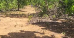 Chácaras a Venda – 37km de Alto Paraíso sentido Sertão – Chapada dos Veadeiros