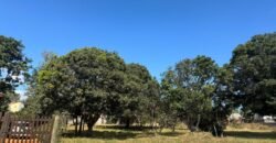 Lote 800m2 – Região Central – Alto Paraíso de Goiás