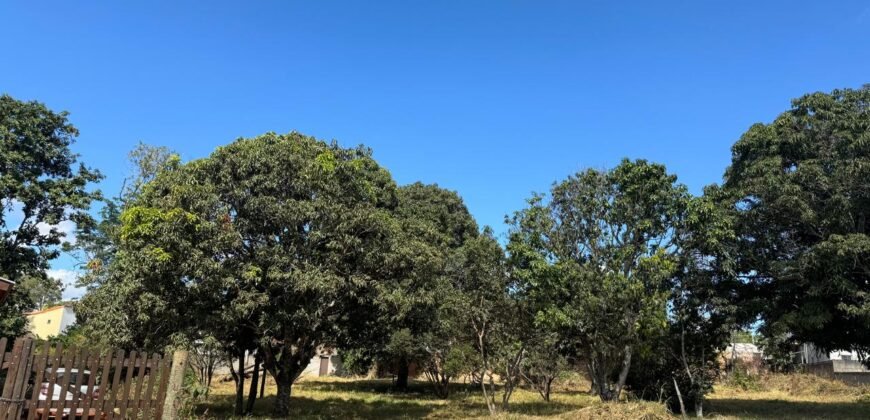 Lote 800m2 – Região Central – Alto Paraíso de Goiás