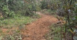 Lote 528.00m2 – Eldorado 1 – Alto Paraíso de Goiás Lote 528.00m2 – Eldorado 1 – Alto Paraíso de Goiás