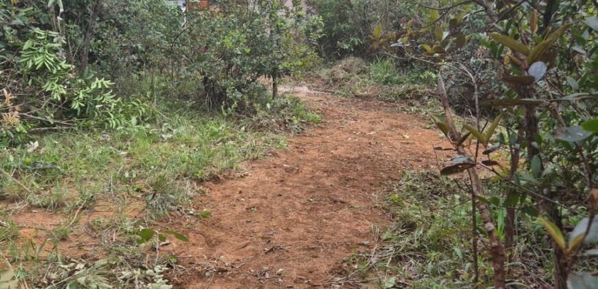 Lote 528.00m2 – Eldorado 1 – Alto Paraíso de Goiás