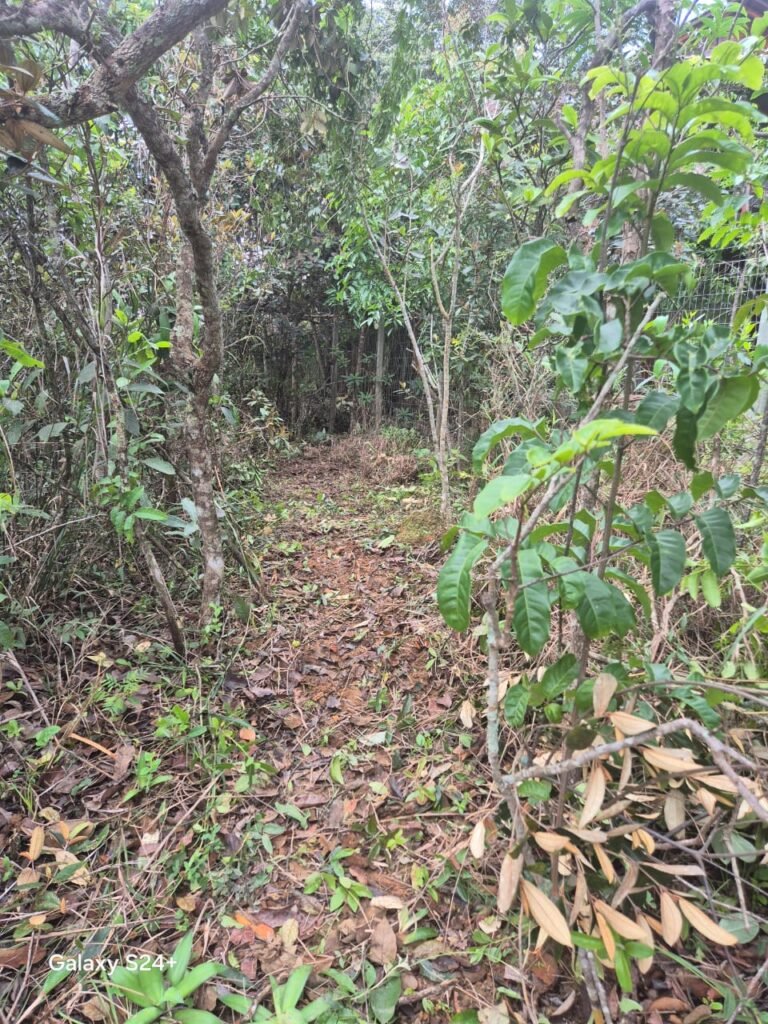 Lote 528.00m2 – Eldorado 1 – Alto Paraíso de Goiás
