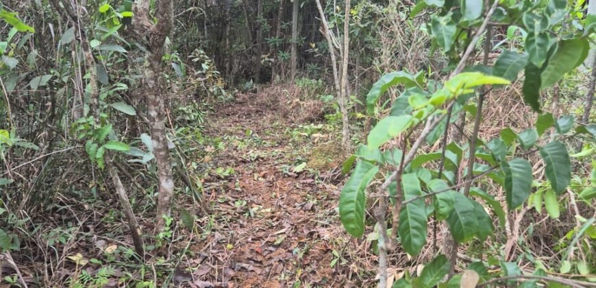 Lote 528.00m2 – Eldorado 1 – Alto Paraíso de Goiás