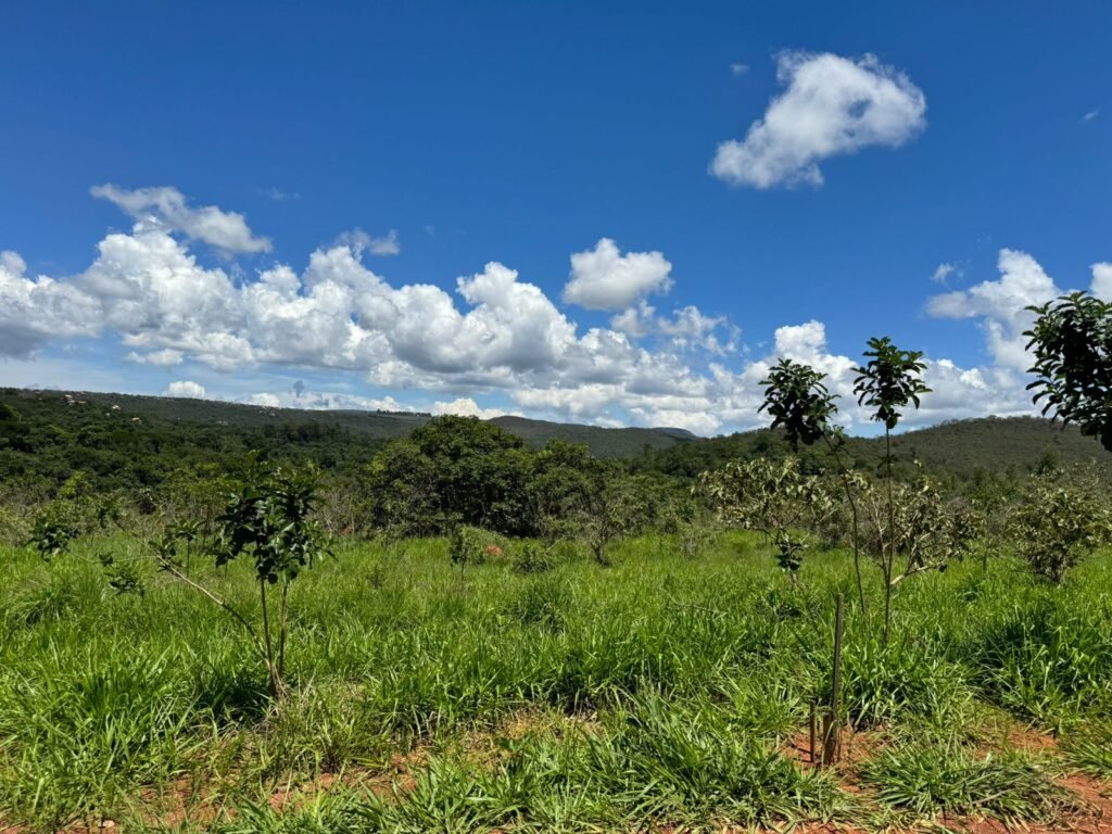 Lote 2.000m2 Condomínio ASHIYANA, Eco Village, 2km sentido Loquinhas – Chapada dos Veadeiros