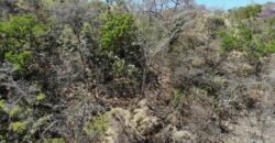 Chácara 17ha com 2 Cachoeiras – 9 km de Teresina de Goiás Chácara 17ha com 2 Cachoeiras – 9 km de Teresina de Goiás